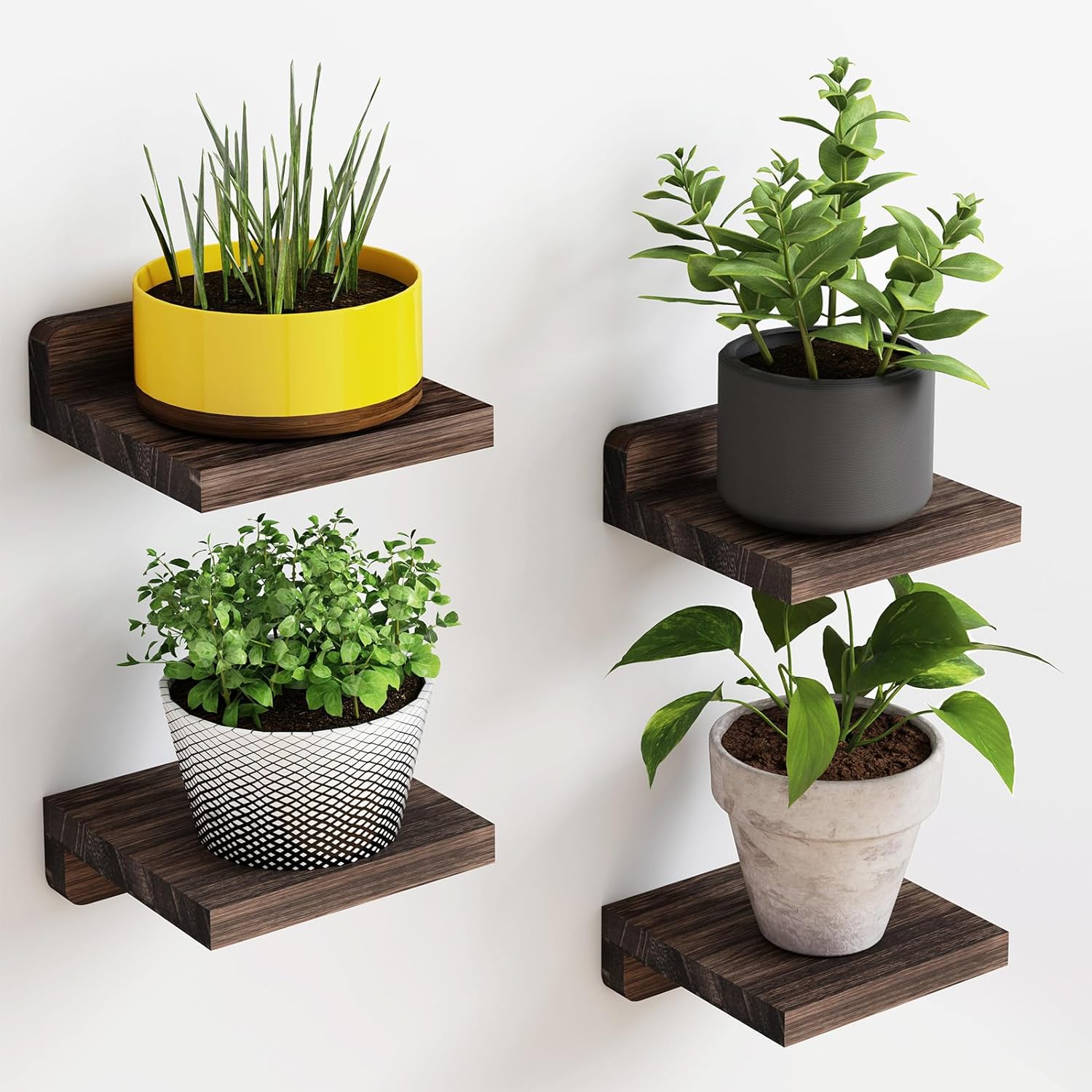 Prateleiras flutuantes para Haven - Conjunto de 4